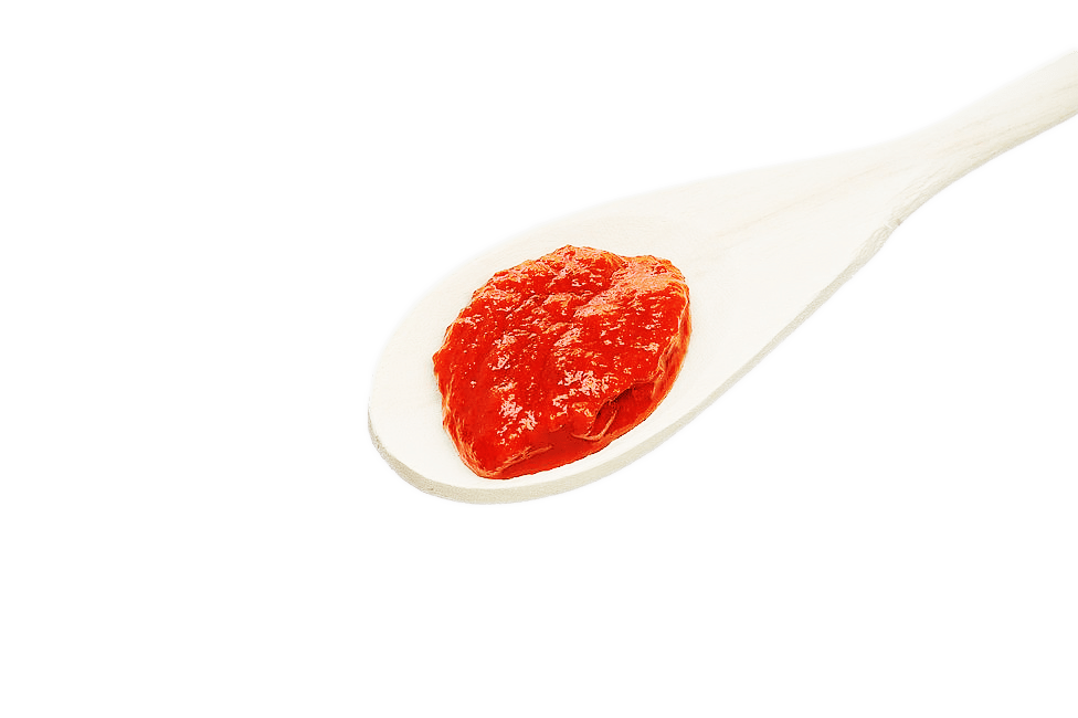 cucchiaio pizza sauce con spezie