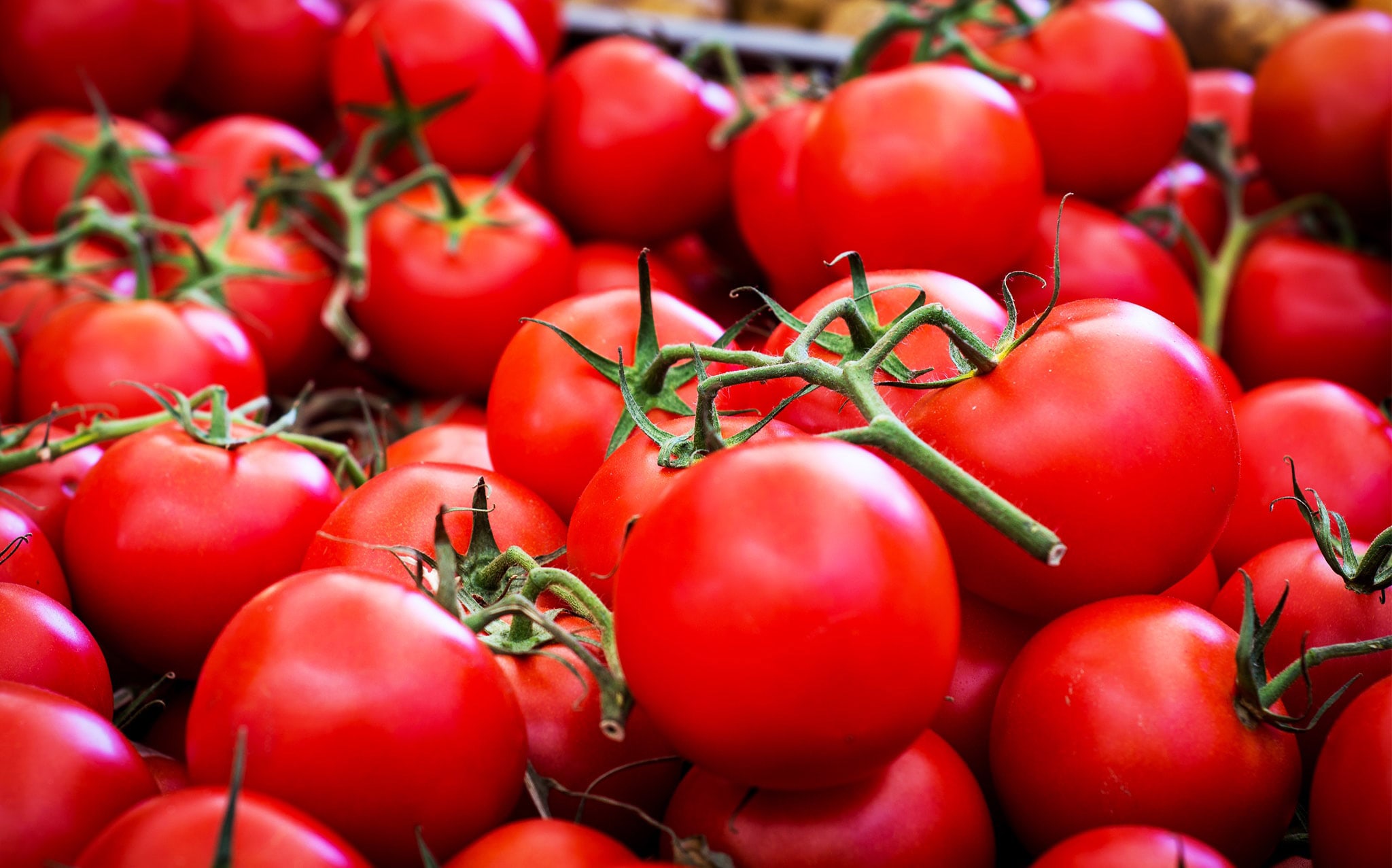 steriltom polpa di pomodoro italiano